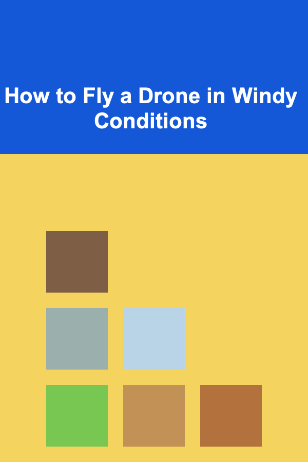 How to Fly a Drone in Windy Conditions