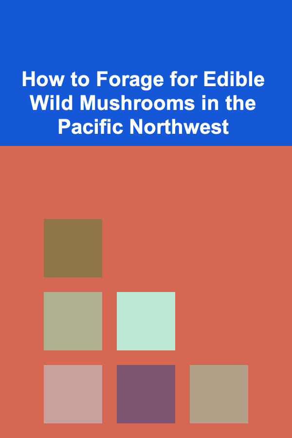 How to Forage for Edible Wild Mushrooms in the Pacific Northwest