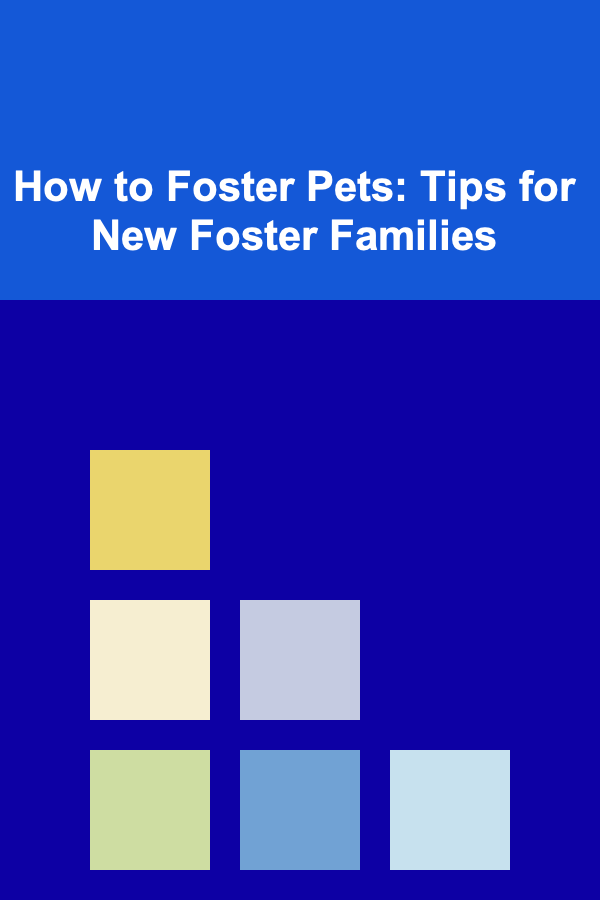 How to Foster Pets: Tips for New Foster Families