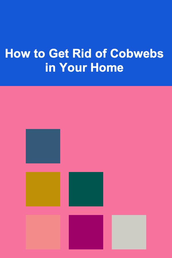 How to Get Rid of Cobwebs in Your Home