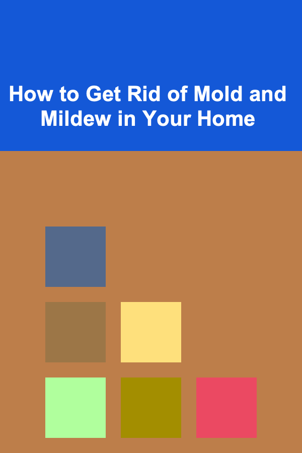 How to Get Rid of Mold and Mildew in Your Home