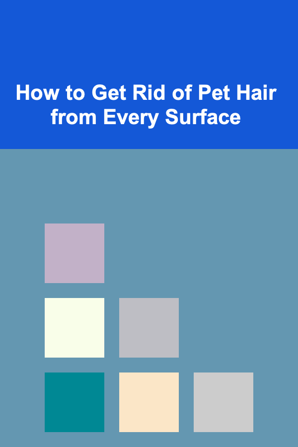 How to Get Rid of Pet Hair from Every Surface