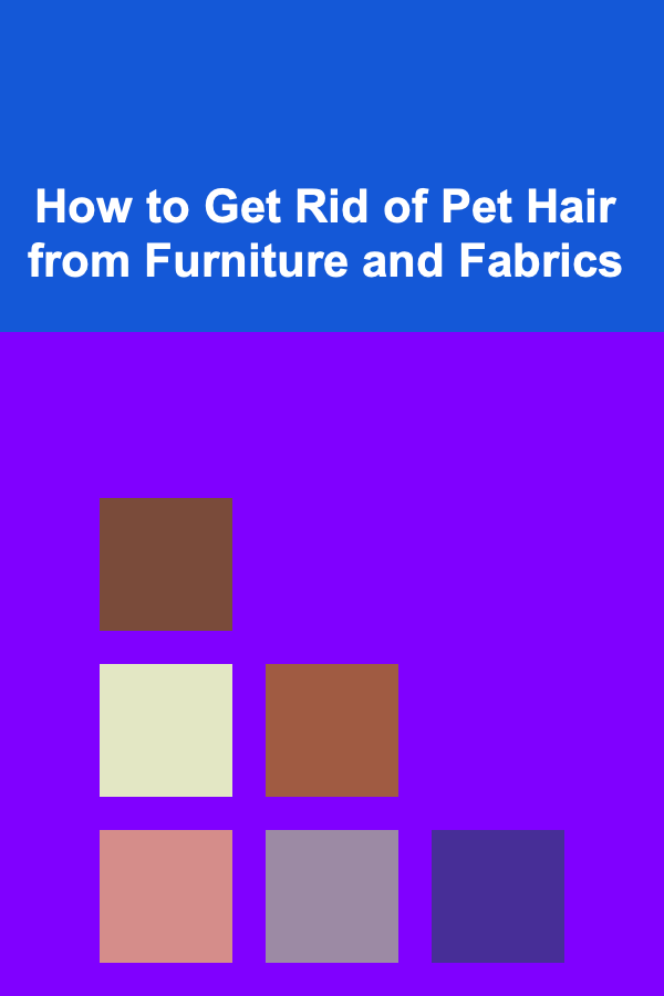 How to Get Rid of Pet Hair from Furniture and Fabrics