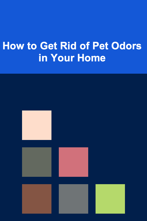 How to Get Rid of Pet Odors in Your Home