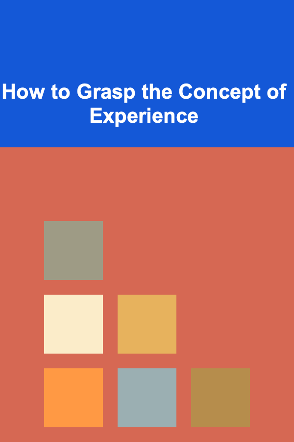 How to Grasp the Concept of Experience