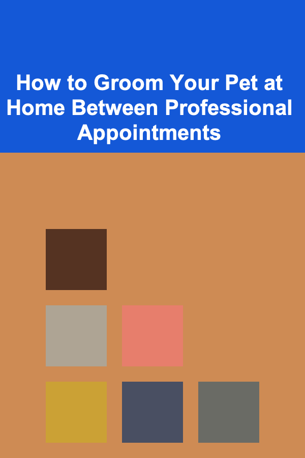 How to Groom Your Pet at Home Between Professional Appointments