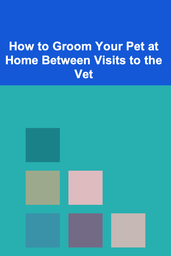 How to Groom Your Pet at Home Between Visits to the Vet