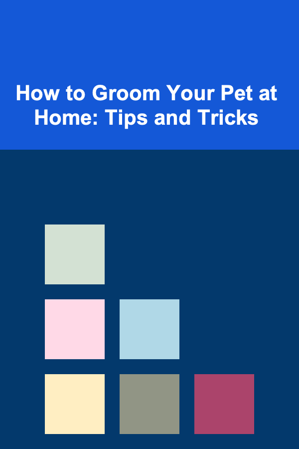 How to Groom Your Pet at Home: Tips and Tricks