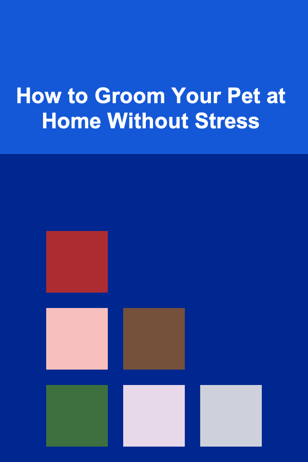 How to Groom Your Pet at Home Without Stress