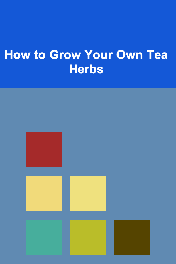 How to Grow Your Own Tea Herbs