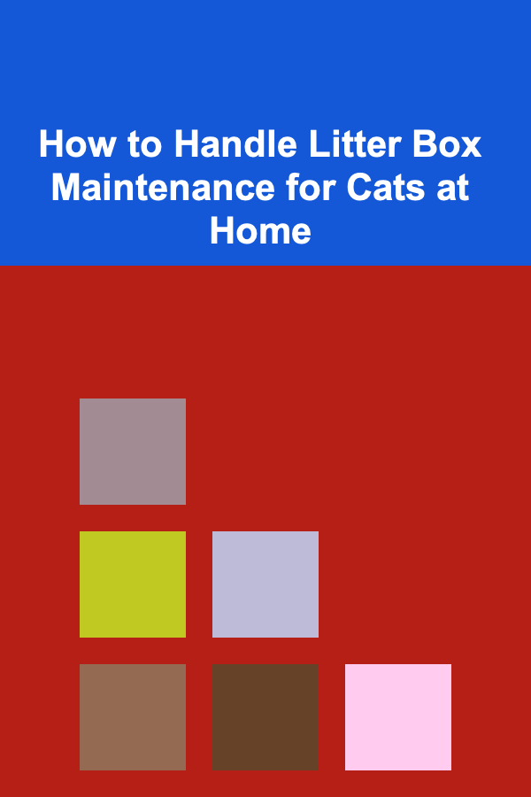 How to Handle Litter Box Maintenance for Cats at Home