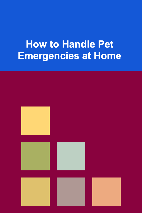 How to Handle Pet Emergencies at Home
