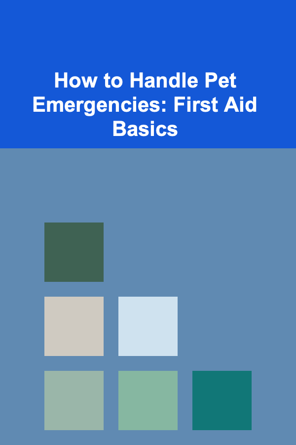 How to Handle Pet Emergencies: First Aid Basics