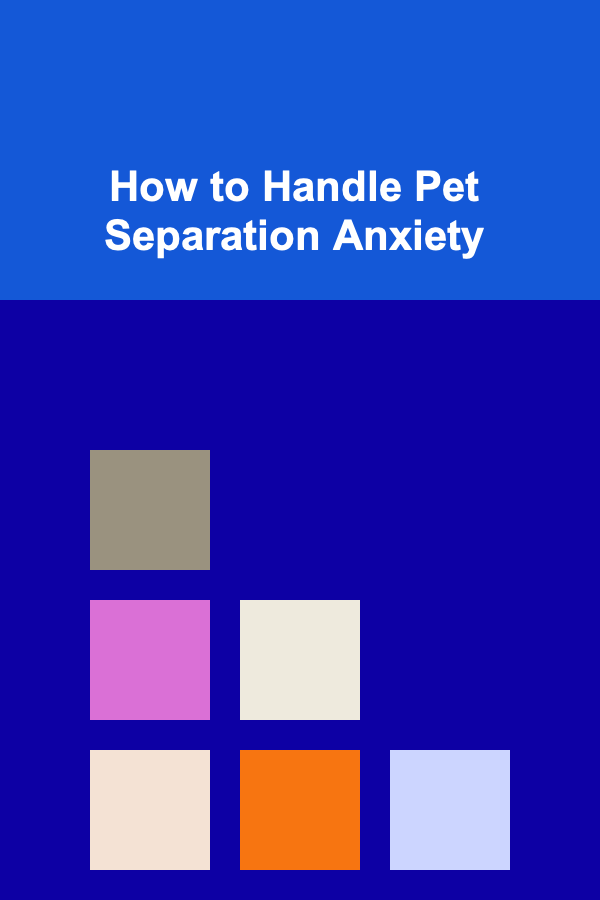 How to Handle Pet Separation Anxiety