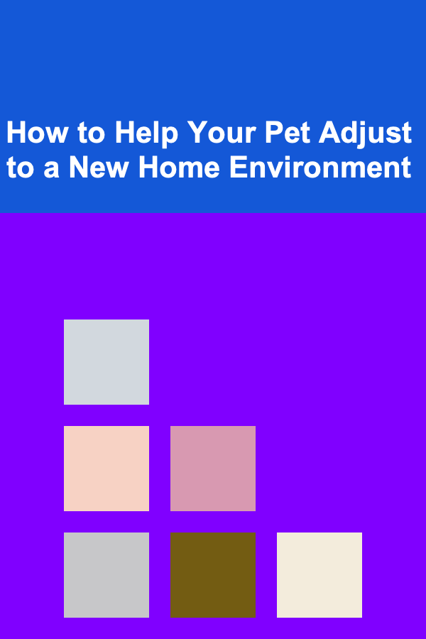 How to Help Your Pet Adjust to a New Home Environment