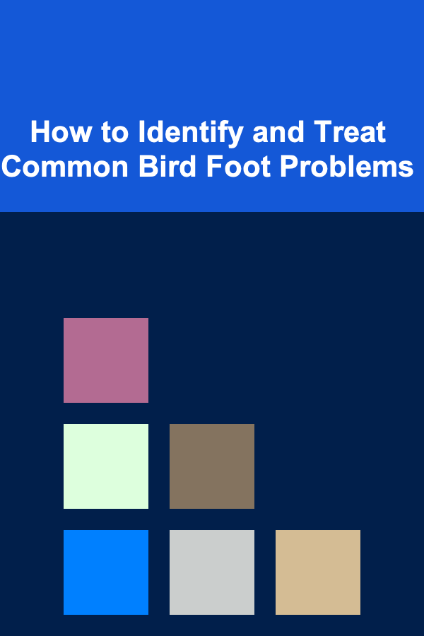 How to Identify and Treat Common Bird Foot Problems
