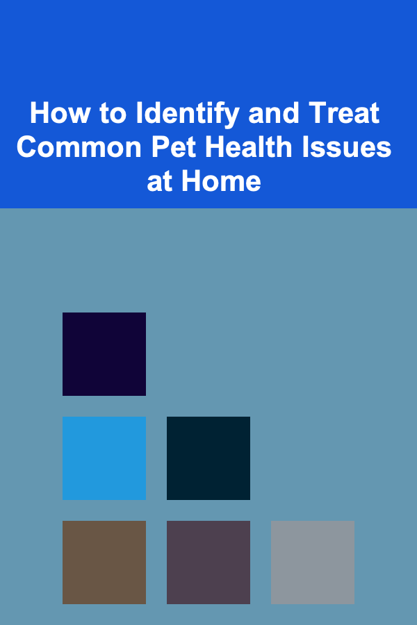 How to Identify and Treat Common Pet Health Issues at Home