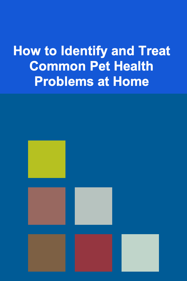 How to Identify and Treat Common Pet Health Problems at Home