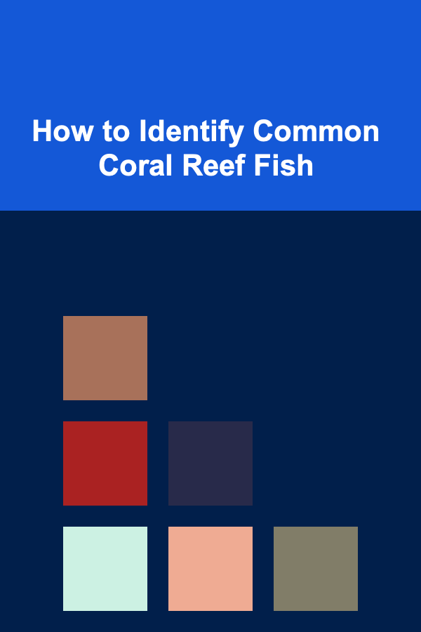How to Identify Common Coral Reef Fish