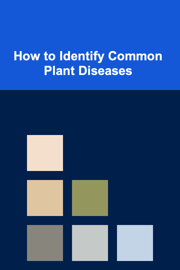 How to Identify Common Plant Diseases