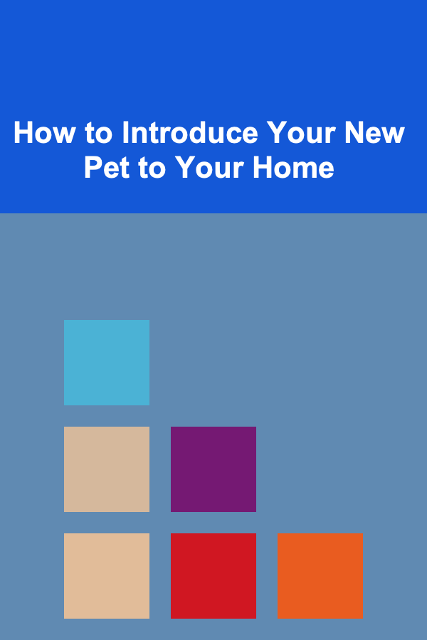 How to Introduce Your New Pet to Your Home