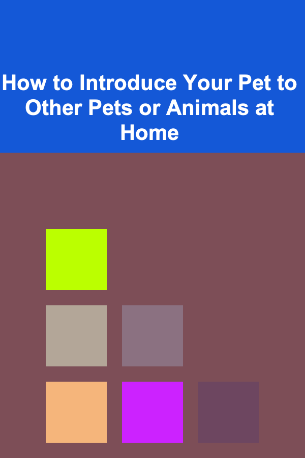 How to Introduce Your Pet to Other Pets or Animals at Home
