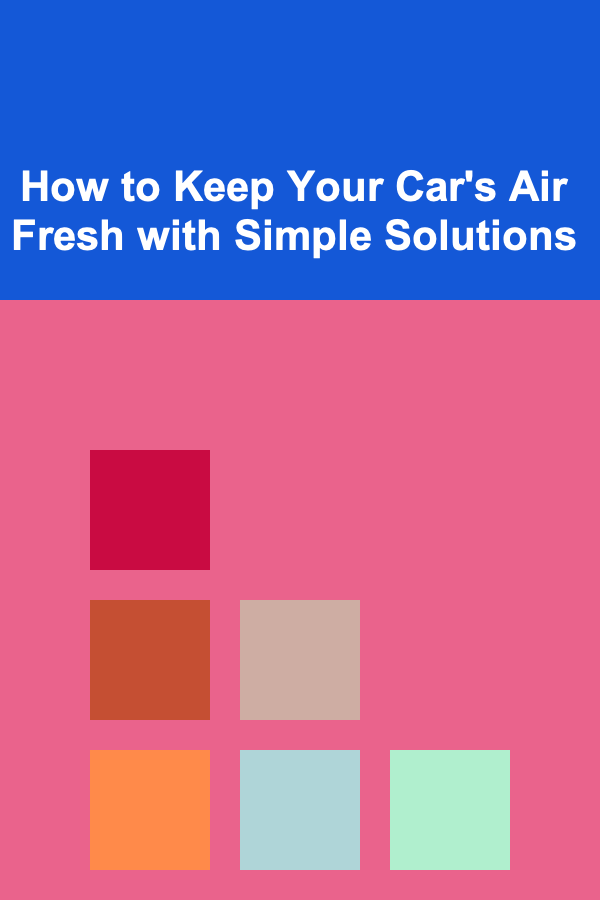 How to Keep Your Car's Air Fresh with Simple Solutions