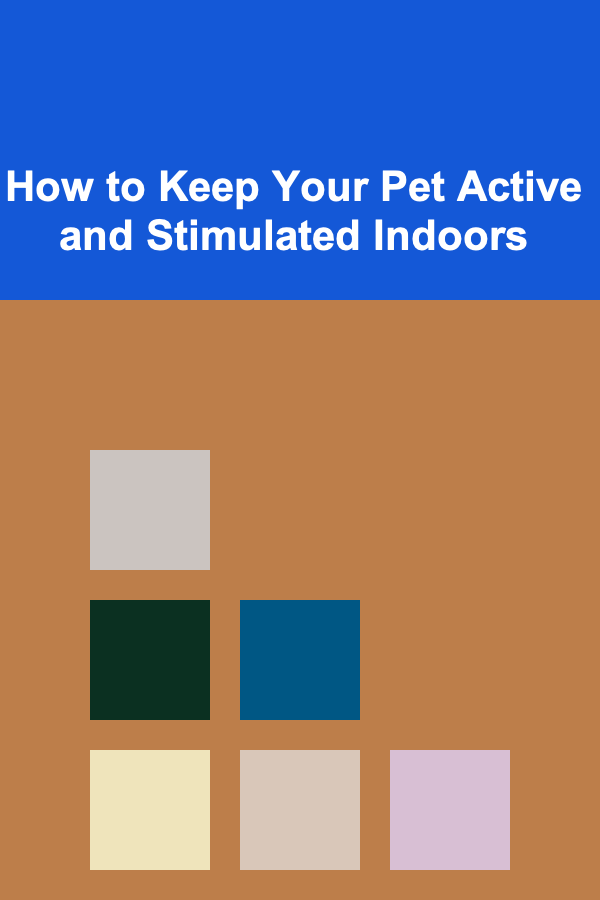 How to Keep Your Pet Active and Stimulated Indoors