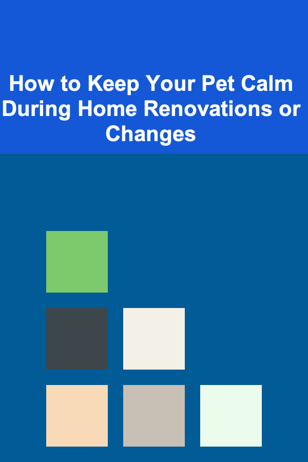 How to Keep Your Pet Calm During Home Renovations or Changes