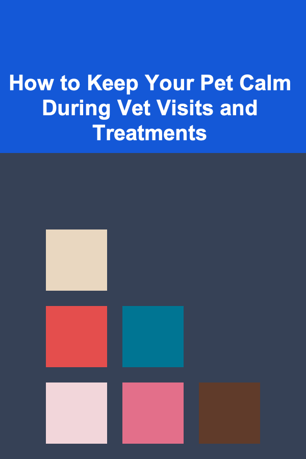 How to Keep Your Pet Calm During Vet Visits and Treatments