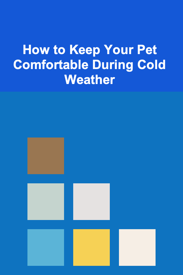How to Keep Your Pet Comfortable During Cold Weather