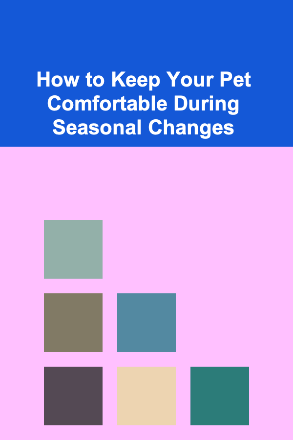 How to Keep Your Pet Comfortable During Seasonal Changes