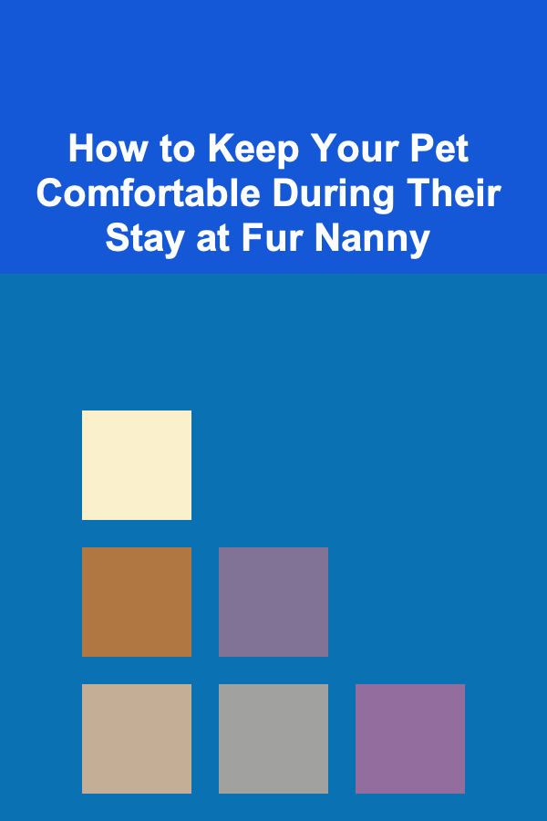 How to Keep Your Pet Comfortable During Their Stay at Fur Nanny