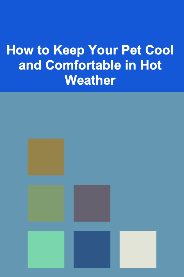 How to Keep Your Pet Cool and Comfortable in Hot Weather