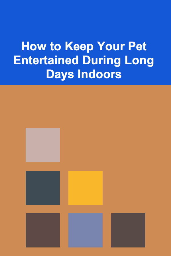 How to Keep Your Pet Entertained During Long Days Indoors