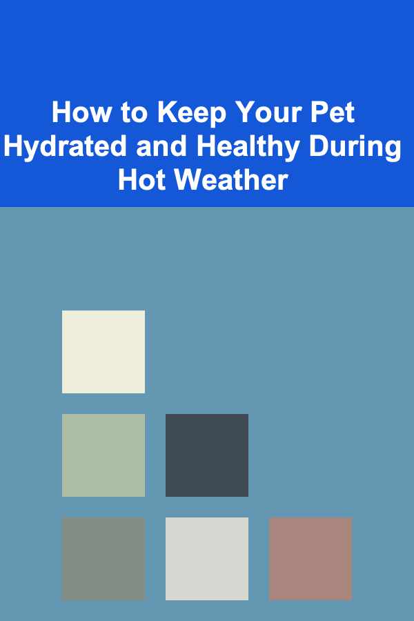 How to Keep Your Pet Hydrated and Healthy During Hot Weather
