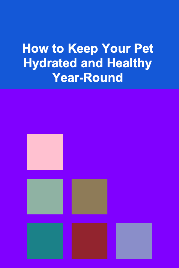 How to Keep Your Pet Hydrated and Healthy Year-Round