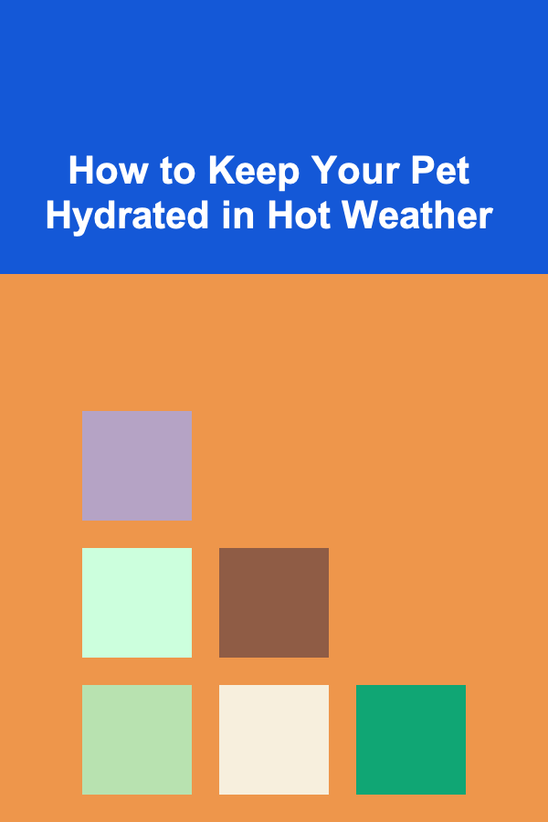 How to Keep Your Pet Hydrated in Hot Weather