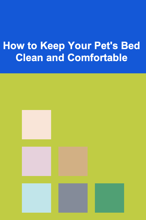 How to Keep Your Pet's Bed Clean and Comfortable