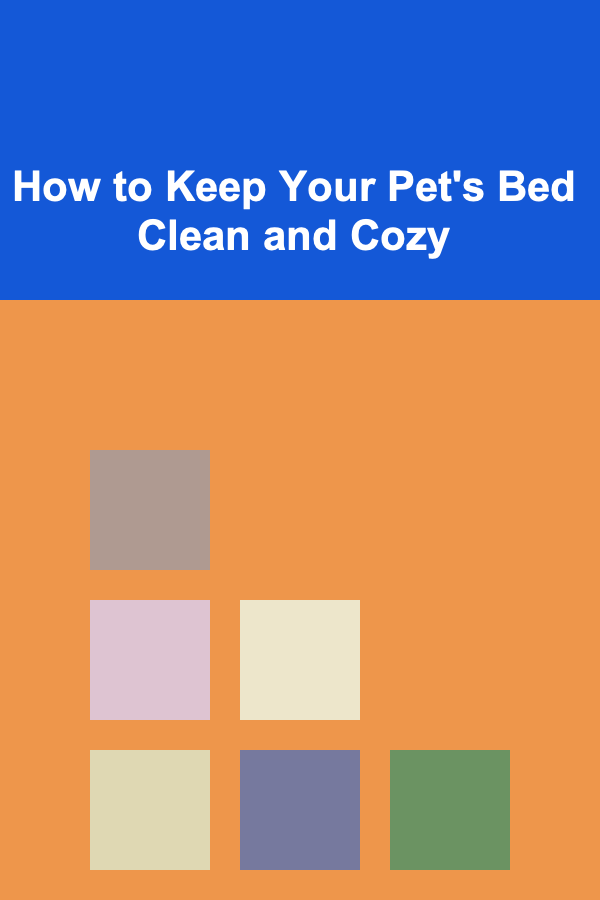 How to Keep Your Pet's Bed Clean and Cozy