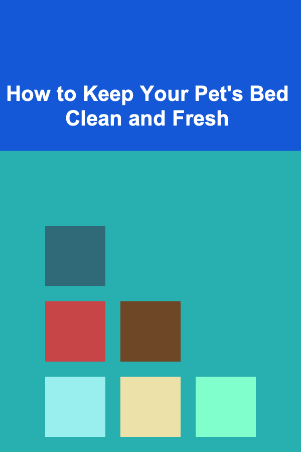 How to Keep Your Pet's Bed Clean and Fresh