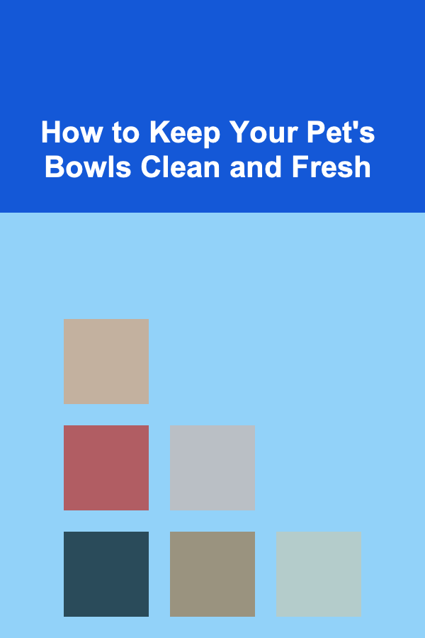 How to Keep Your Pet's Bowls Clean and Fresh