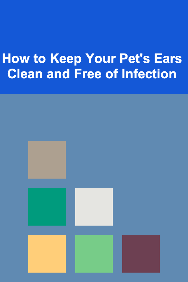 How to Keep Your Pet's Ears Clean and Free of Infection