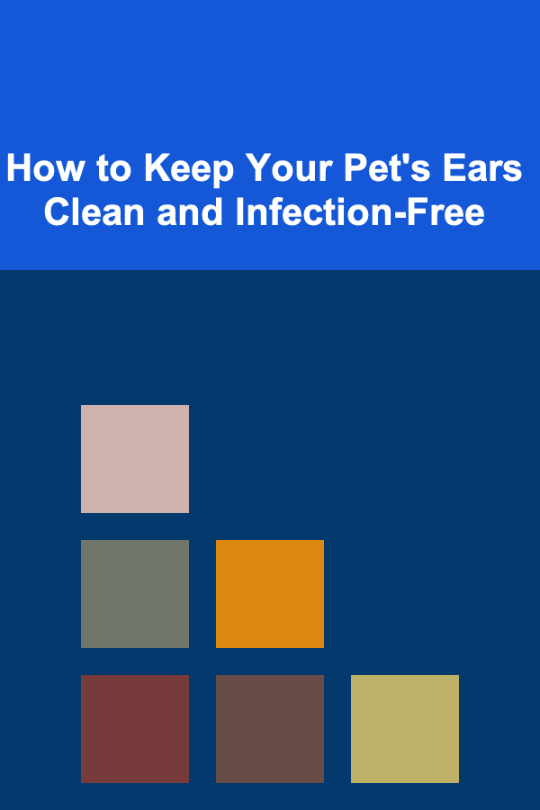 How to Keep Your Pet's Ears Clean and Infection-Free