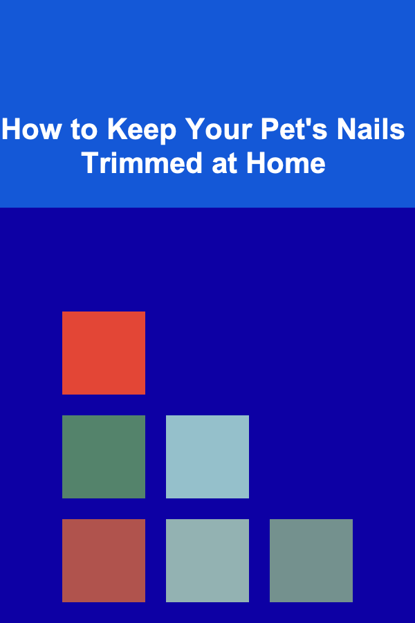 How to Keep Your Pet's Nails Trimmed at Home