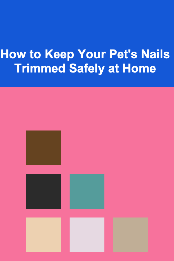 How to Keep Your Pet's Nails Trimmed Safely at Home