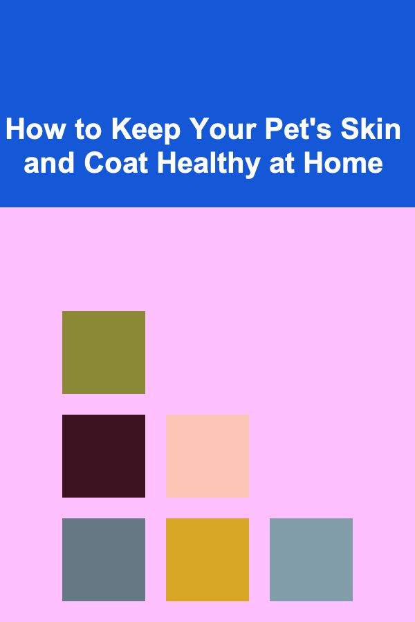 How to Keep Your Pet's Skin and Coat Healthy at Home