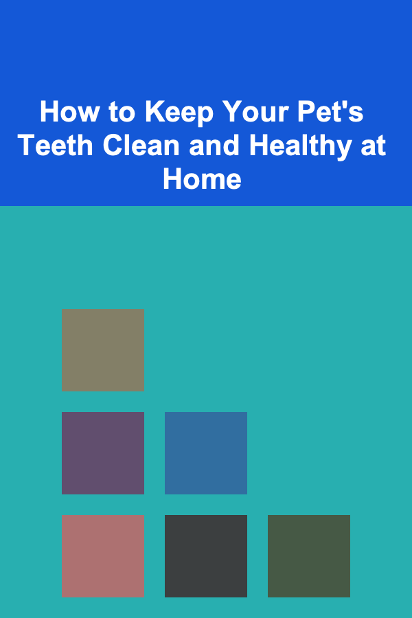 How to Keep Your Pet's Teeth Clean and Healthy at Home