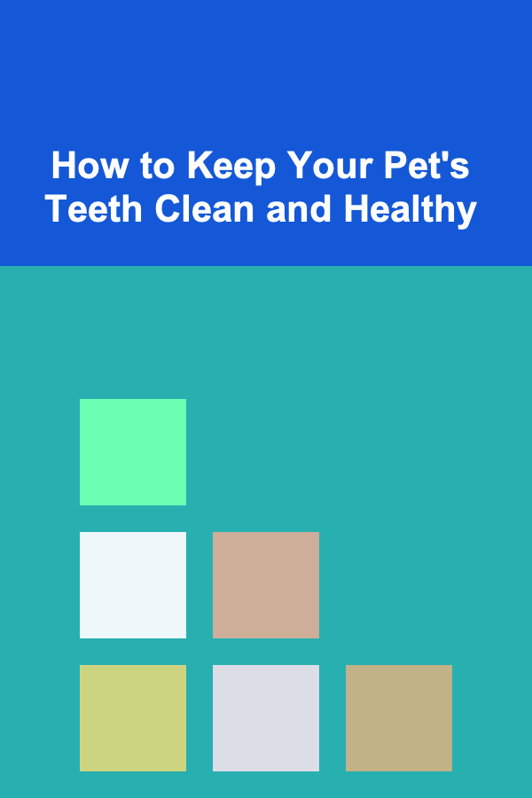How to Keep Your Pet's Teeth Clean and Healthy