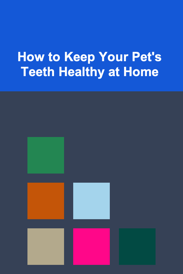How to Keep Your Pet's Teeth Healthy at Home